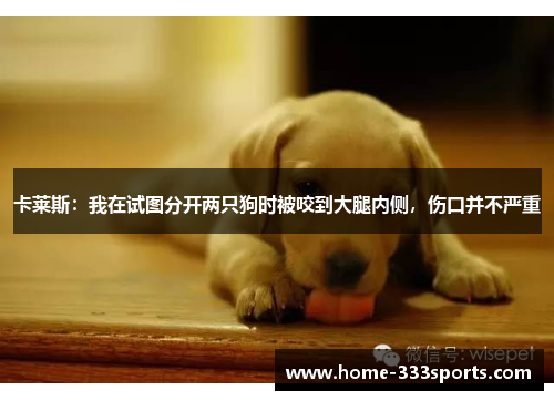 卡莱斯：我在试图分开两只狗时被咬到大腿内侧，伤口并不严重